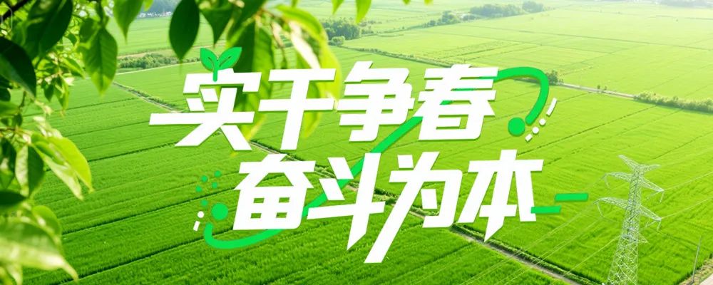 实干争春 奋斗为本 看jiuyou.com软件项目建设“春耕忙”